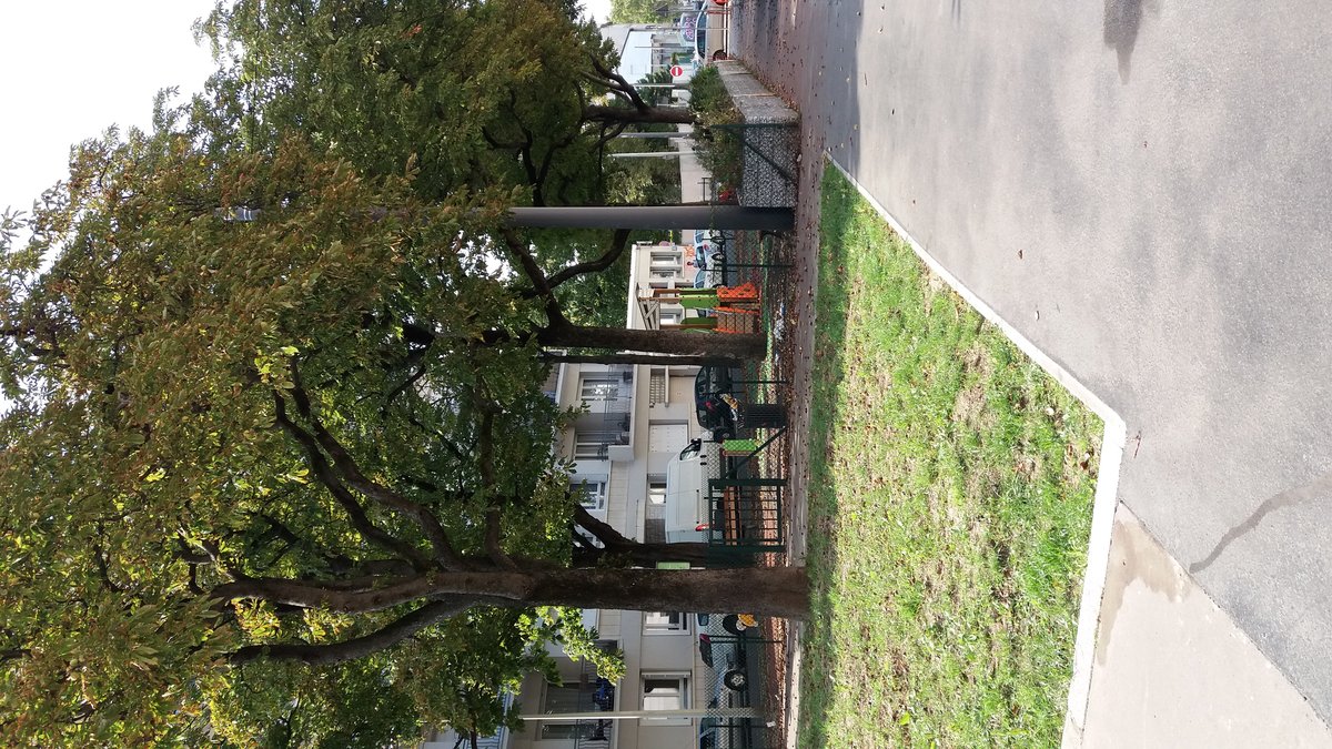 Northwest view of Square Docteur Jean Reverzy in Lyon 3rd arrondissement