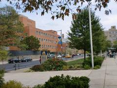 Drexel University campus entrance with university name sign and palm trees