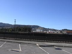 Cow Palace