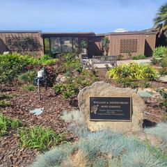 William Nierenberg Rose Garden with blooming flowers at Scripps Institution of Oceanography in March 2024