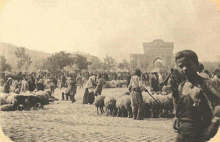 Sheep grazing in Beyazit Square in 1892