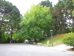 Sunny day at Parque de Santa Margarida in A Coruña with green trees and walking paths