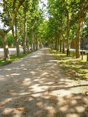 Parque y Jardín de la Devesa in Gerona with lush green trees and walking paths