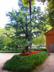 Parque y Jardín de la Devesa in Gerona with lush green trees and pathways