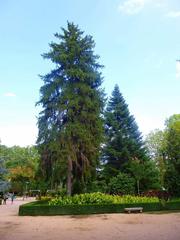 Park and garden area with trees and walking paths in Parque y Jardín de la Devesa, Gerona