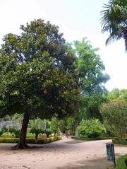 Scenic view of Parque y Jardín de la Devesa in Gerona with lush greenery and well-maintained pathways