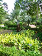 Scenic view of Parque y Jardín de la Devesa in Gerona with lush greenery and walking paths