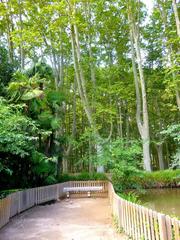 Aerial view of Parque y Jardín de la Devesa in Gerona with lush green trees and pathways