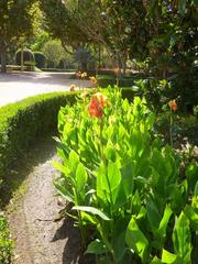 Park and garden landscape with lush green trees and walking paths in Gerona