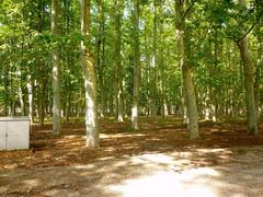 View of Parque y Jardín de la Devesa in Gerona with lush greenery and walking paths
