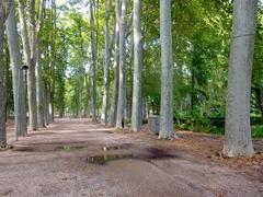 Panoramic view of Parque y Jardín de la Devesa in Gerona with lush greenery and trees