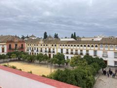 Patio De Banderas