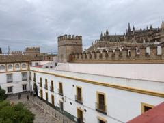 View of Sevilla city with historic buildings and the Giralda tower