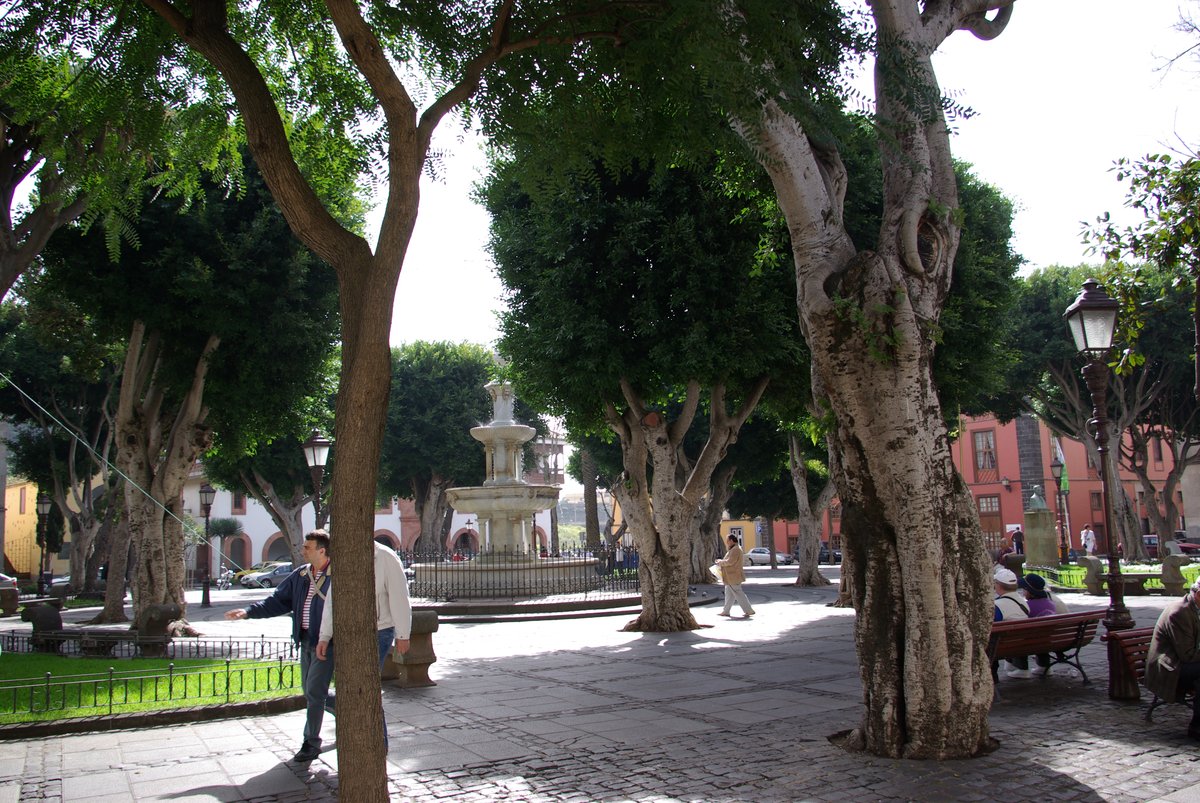 Black and white photo of Plaza del Adelantado in La Laguna, Tenerife with historic buildings and ornate street lamps