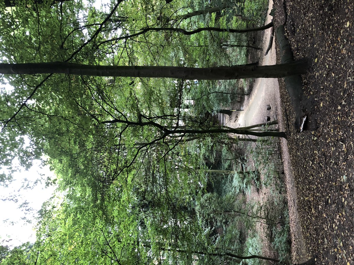 Scenic trail Sentier Des Adonides with greenery in City of Brussels Belgium