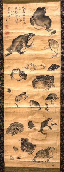Group of toads gathered together on natural ground