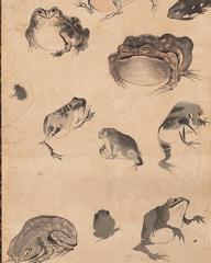 Group of toads resting on green leaves