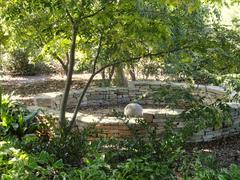 General view of the J. C. Raulston Arboretum at North Carolina State University with lush greenery and diverse plants