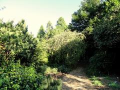 General view of the J. C. Raulston Arboretum at North Carolina State University in Raleigh, North Carolina
