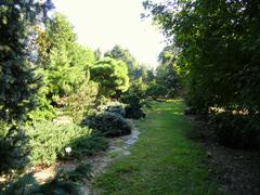 General view of J. C. Raulston Arboretum with diverse plants and a clear blue sky