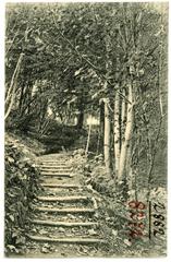 Historic Lovers Lane in Portland, Oregon, 1906