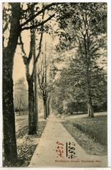 Historic black and white photograph of Residence Street in Portland, Oregon, 1906