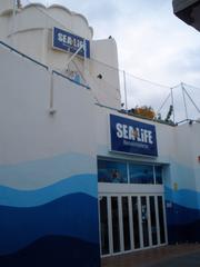 Underwater view of various fish swimming in an aquarium at Sea Life Benalmádena