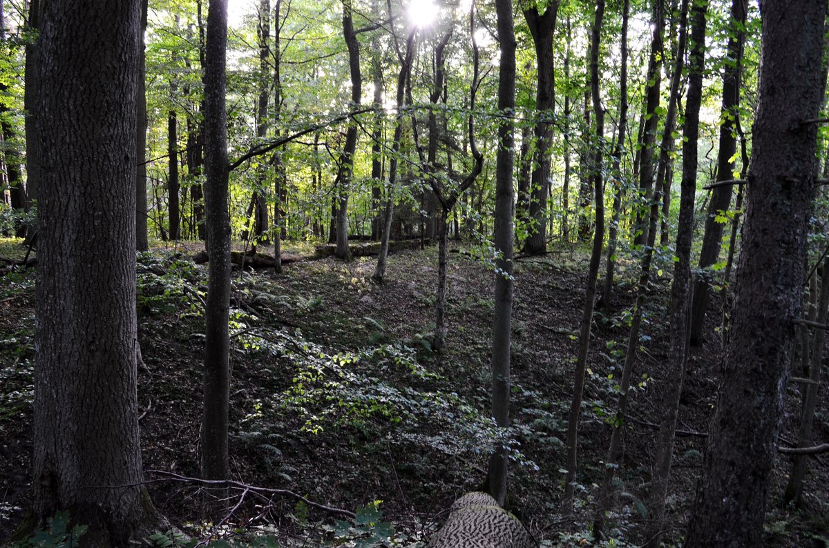 Kukuliškių piliakalnis hillfort in Klaipėda District