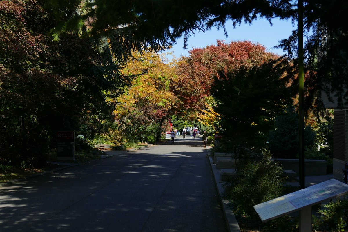 Autumn foliage at Seattle University with vibrant fall colors and campus buildings in Seattle Washington USA