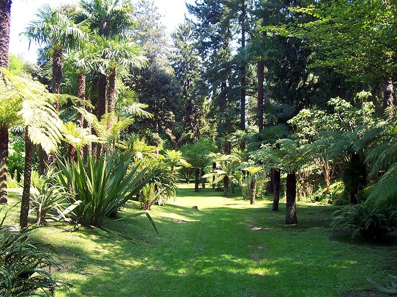 Villa Taranto Gardens Verbania Landscape with Lake View