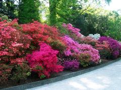 Beautiful garden view at Giardini di Villa Taranto in Verbania