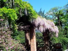 Villa Taranto botanical gardens with vibrant flowers and a large pond in Verbania