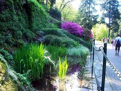 Beautiful garden of Villa Taranto in Verbania with lush greenery and colorful flowers