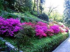 Beautiful garden at Villa Taranto in Verbania with vibrant flowers and greenery