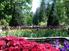 Panoramic view of the botanical gardens at Villa Taranto in Verbania, Italy