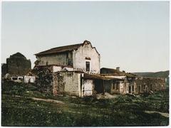 Historic photochrom postcard depicting a scenic view of a residential neighborhood with trees and houses
