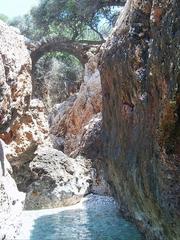 Aperlae