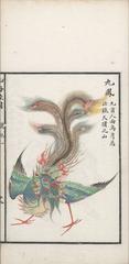 Illustration of a nine-headed phoenix from the Classic of Mountains and Seas