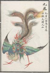Nine-headed phoenix illustration from Classic of Mountains and Seas Qing dynasty colored edition