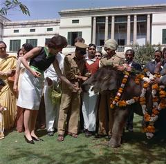 First Lady Jacqueline Kennedy feeding an elephant named Urvashi in the garden of the Prime Minister of India’s residence in New Delhi