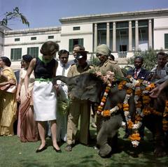 First Lady Jacqueline Kennedy feeding an elephant named Urvashi in the garden of Indian Prime Minister Jawaharlal Nehru's residence