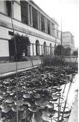 Rear view of Teen Murti House with classic architecture and well-maintained garden