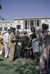 First Lady Jacqueline Kennedy with elephant Urvashi in Prime Minister Jawaharlal Nehru's garden, New Delhi