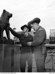 Australian soldiers from 1RAR on leave in Tokyo touching Hachiko statue