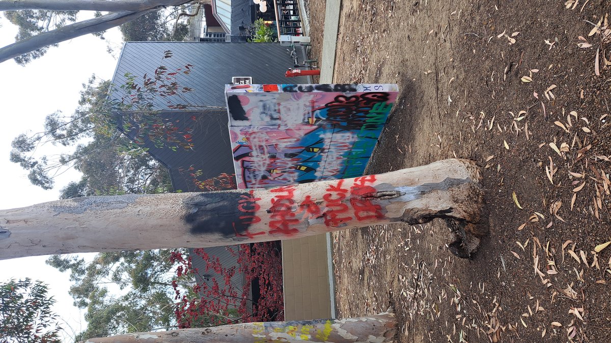 Graffiti art with the phrases 'F Khosla and Fuck Drake' and 'ACAB' painted on a white wall