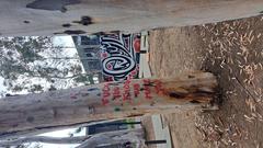 Graffiti saying 'F You Khosar We Hate You' on a wall at UCSD
