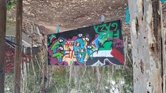 Graffiti art with the phrases 'Eyes on Palestine' and 'Free Gaza'