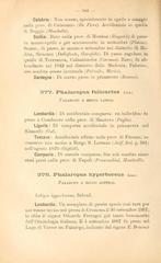 Page 584 of Avifauna Italica book showing bird illustrations