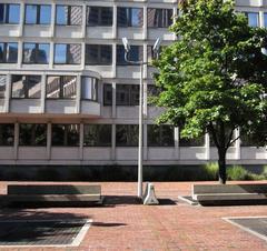 City Hall Plaza in Boston with people walking and modern buildings in the background