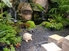 Beautiful garden with vibrant green plants and trees